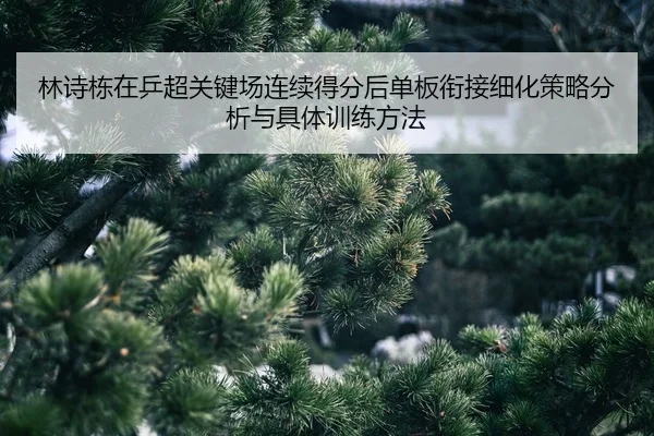 lin-shi-dong-zai-ping-chao-guan-jian-chang-lian-xu-de-fen-hou-dan-ban-xian-jie-xi-hua-ce-lve-fen-xi-yu-ju-ti-xun-lian-2-159.jpg