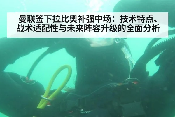 曼联签下拉比奥补强中场：技术特点、战术适配性与未来阵容升级的全面分析（nine game）