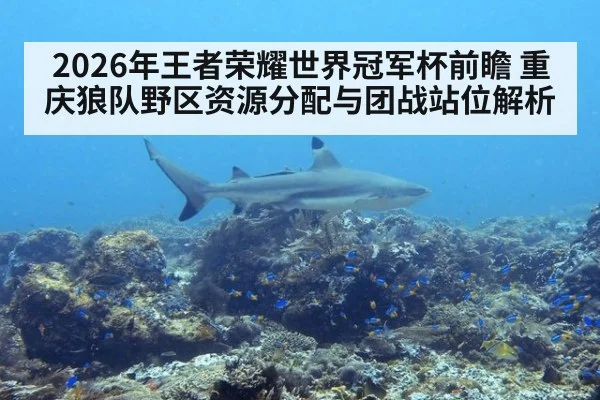 2026年王者荣耀世界冠军杯前瞻 重庆狼队野区资源分配与团战站位解析（nine game）